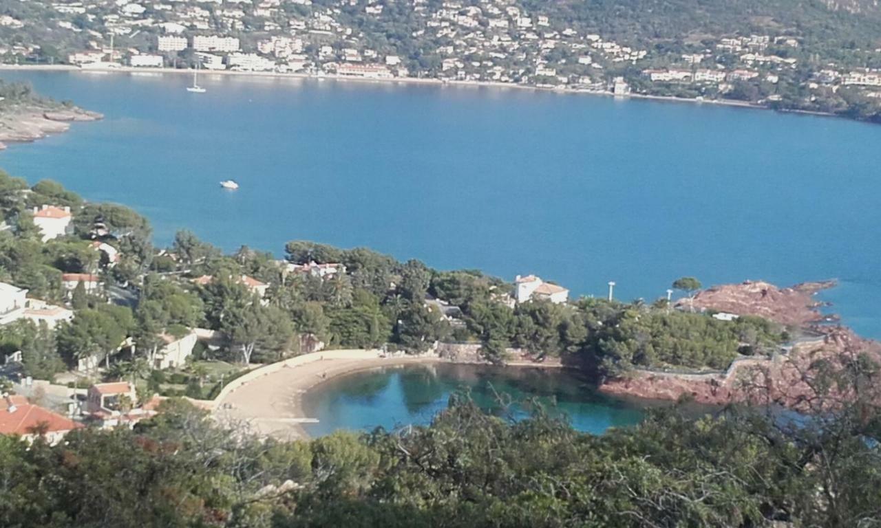 Appartement Vue Mer Piscines Parking Les Coraux Agay Plage Saint-Raphaël Zewnętrze zdjęcie